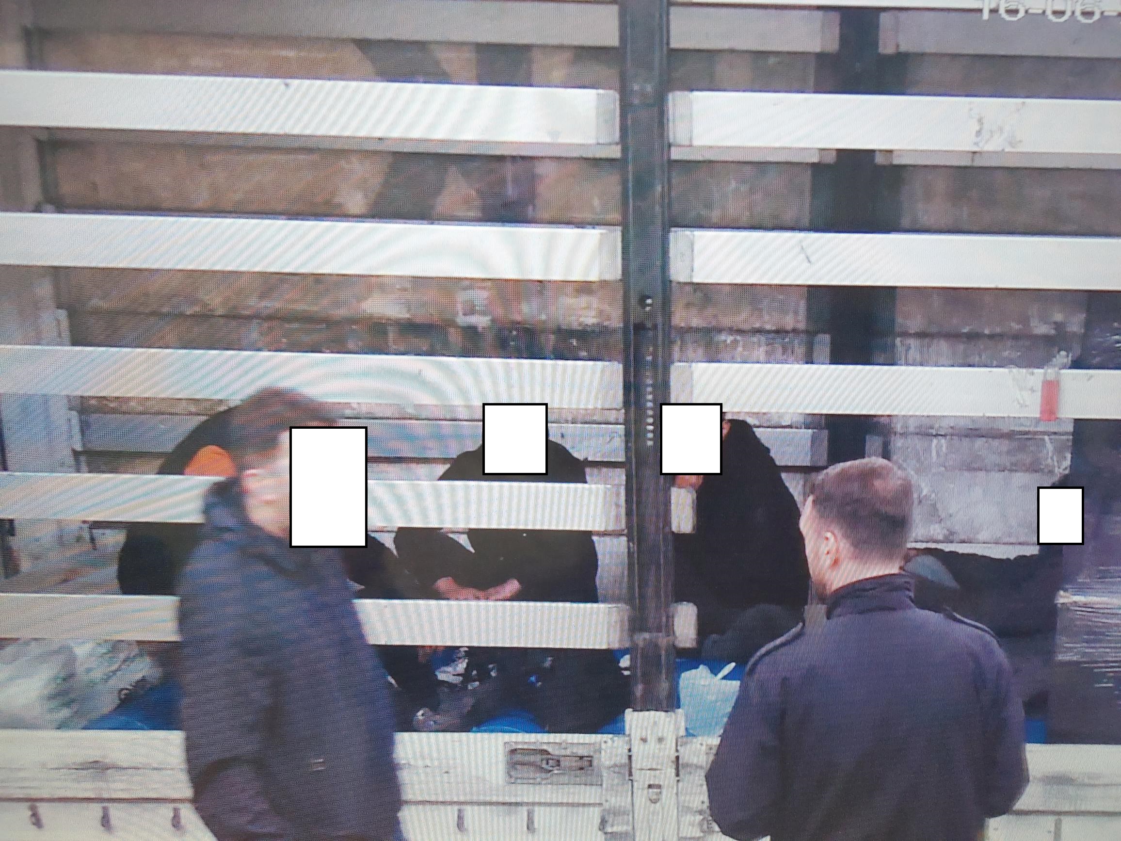 Gjenden pesë (5) emigrant ilegal në një kamion të mallrave